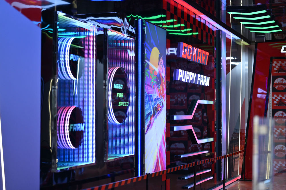 Go Kart tại Nông Trại Cún Đà Lạt